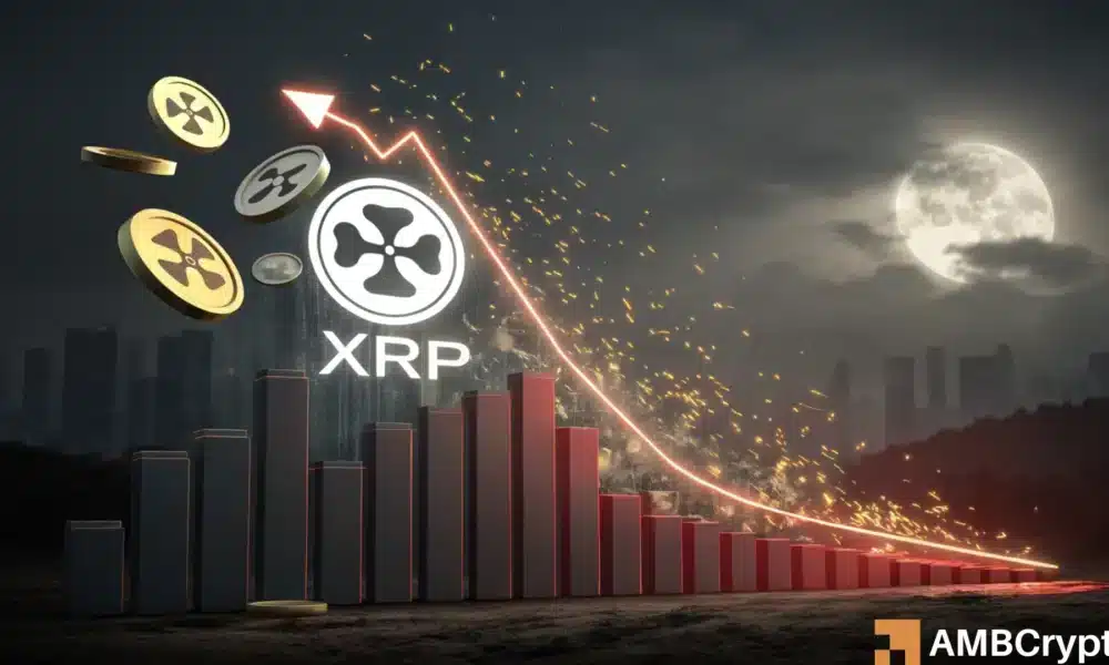 专家称XRP将在年底冲破36美元，引发引发关注的简单介绍